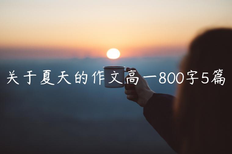 关于夏天的作文高一800字5篇