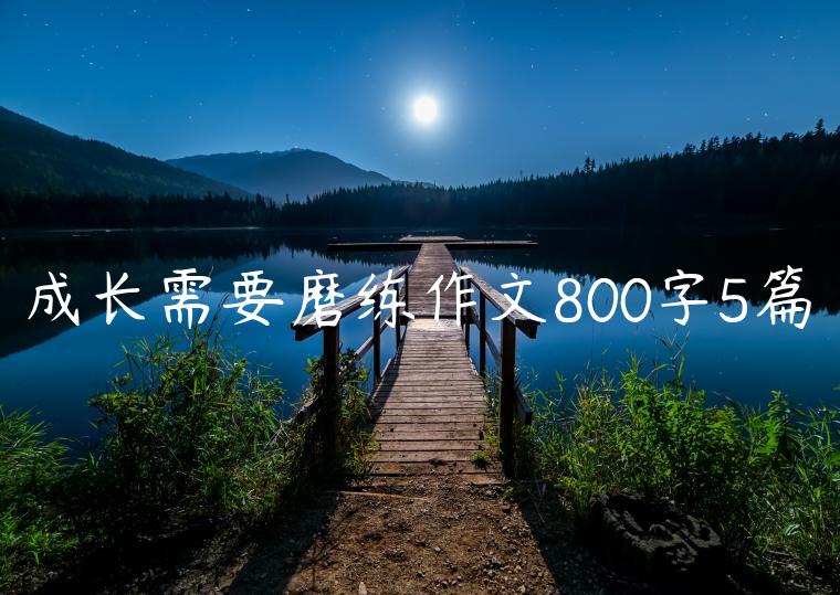 成长需要磨练作文800字5篇