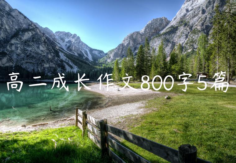 高二成长作文800字5篇