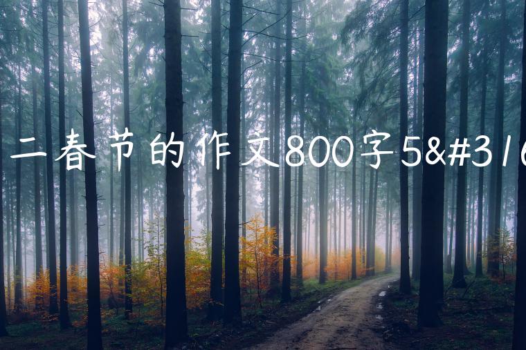 高二春节的作文800字5篇