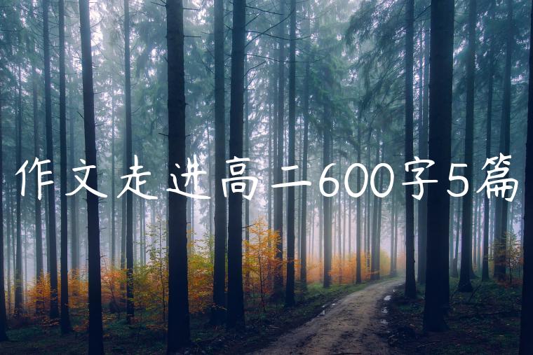 作文走进高二600字5篇