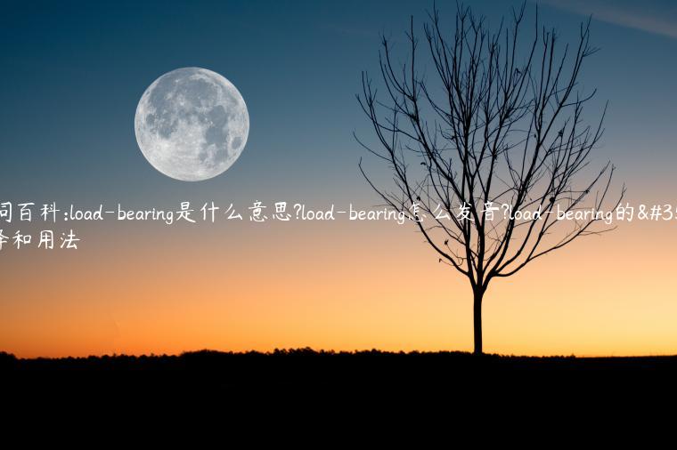 单词百科:load-bearing是什么意思?load-bearing怎么发音?load-bearing的解释和用法