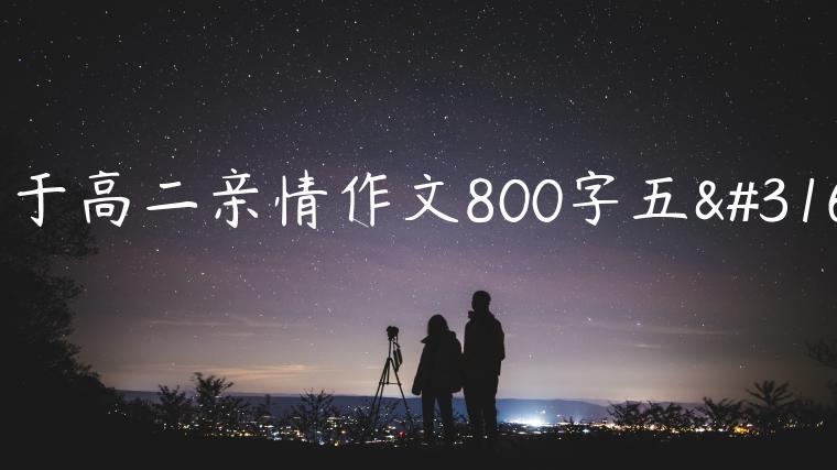 关于高二亲情作文800字五篇