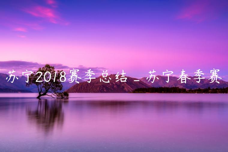 苏宁2018赛季总结_苏宁春季赛