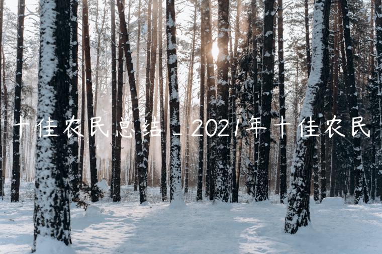 十佳农民总结_2021年十佳农民