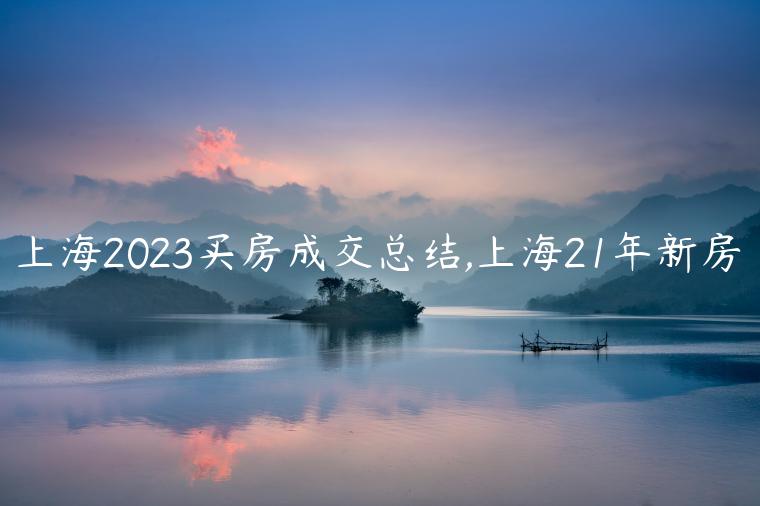 上海2023买房成交总结,上海21年新房