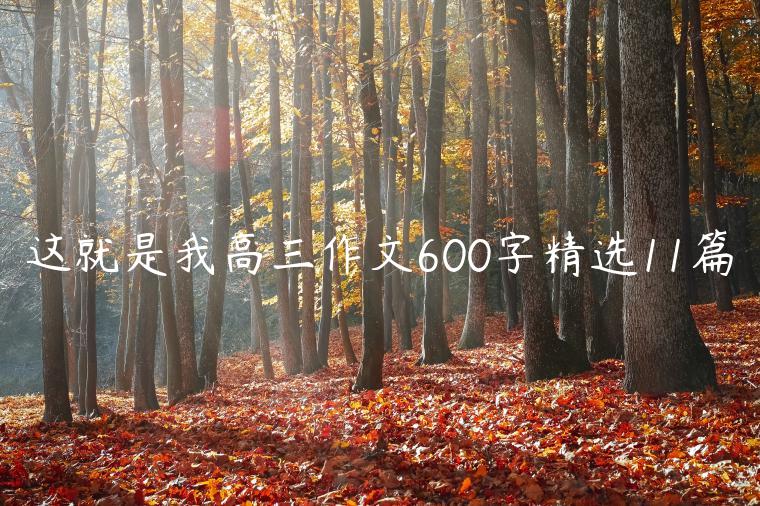 这就是我高三作文600字精选11篇