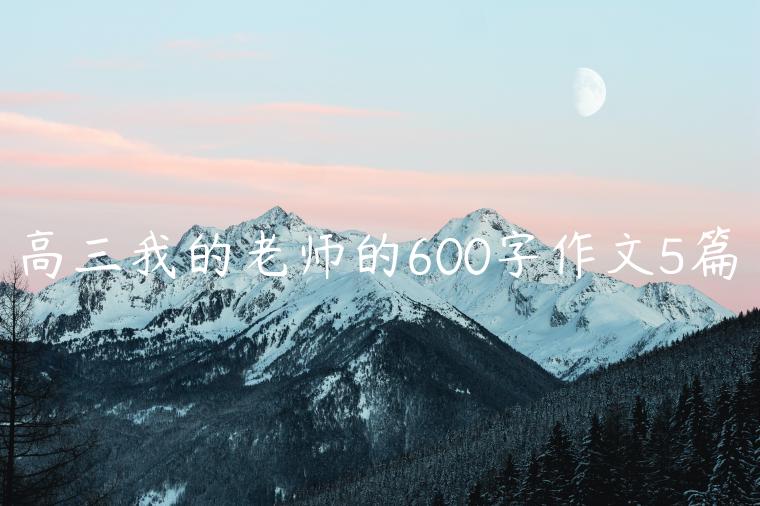 高三我的老师的600字作文5篇