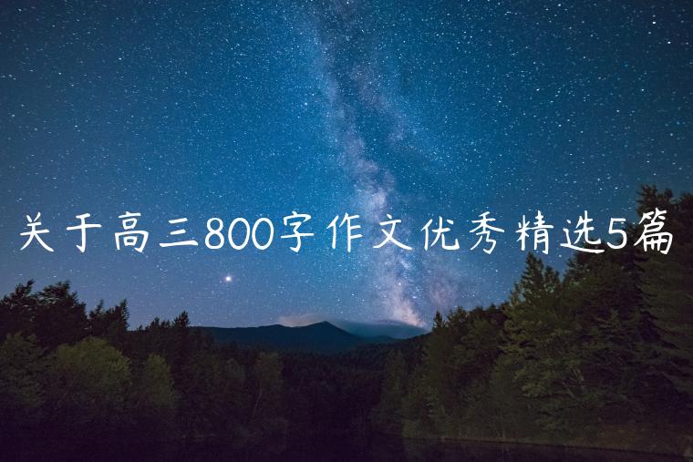 关于高三800字作文优秀精选5篇