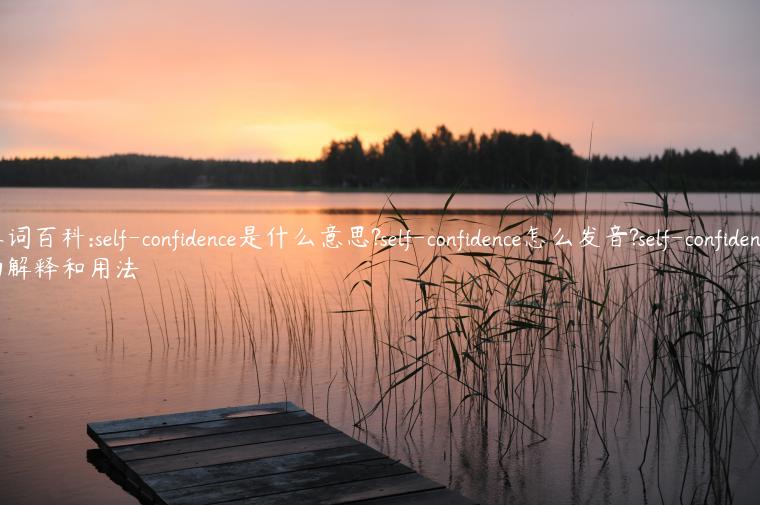 单词百科:self-confidence是什么意思?self-confidence怎么发音?self-confidence的解释和用法