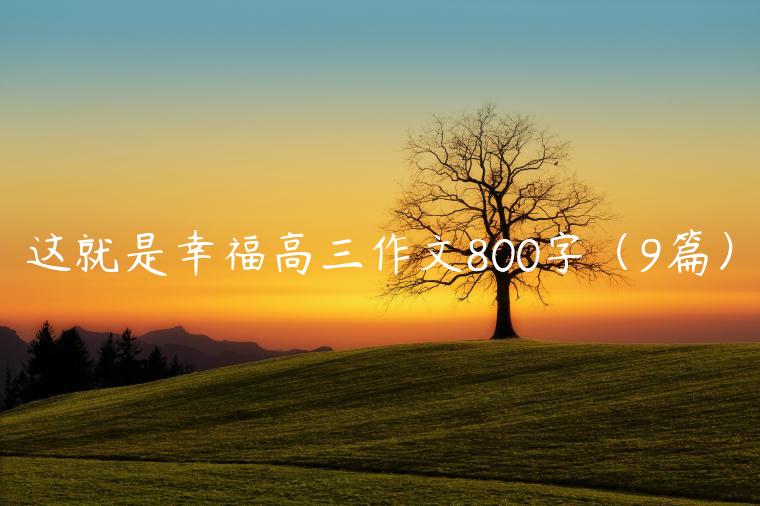 这就是幸福高三作文800字（9篇）