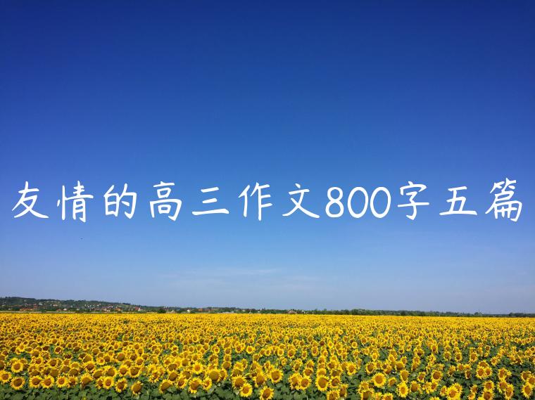 友情的高三作文800字五篇