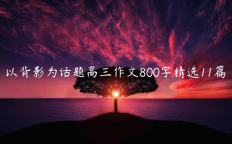 以背影为话题高三作文800字精选11篇