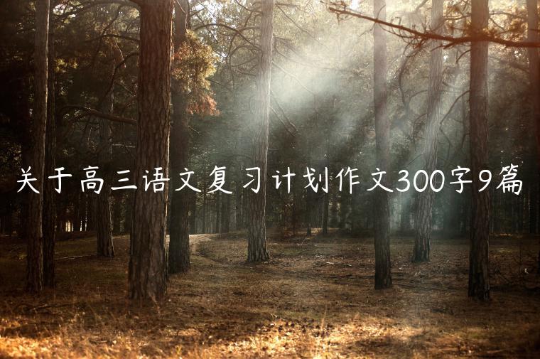 关于高三语文复习计划作文300字9篇