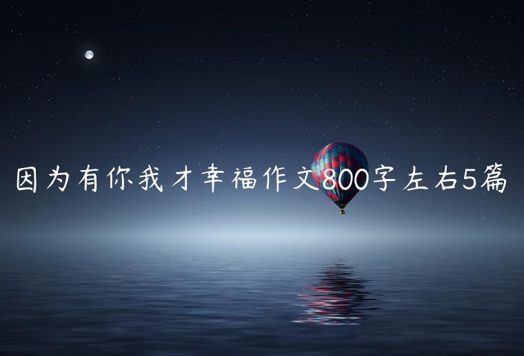 因为有你我才幸福作文800字左右5篇