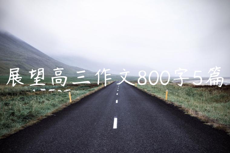 展望高三作文800字5篇