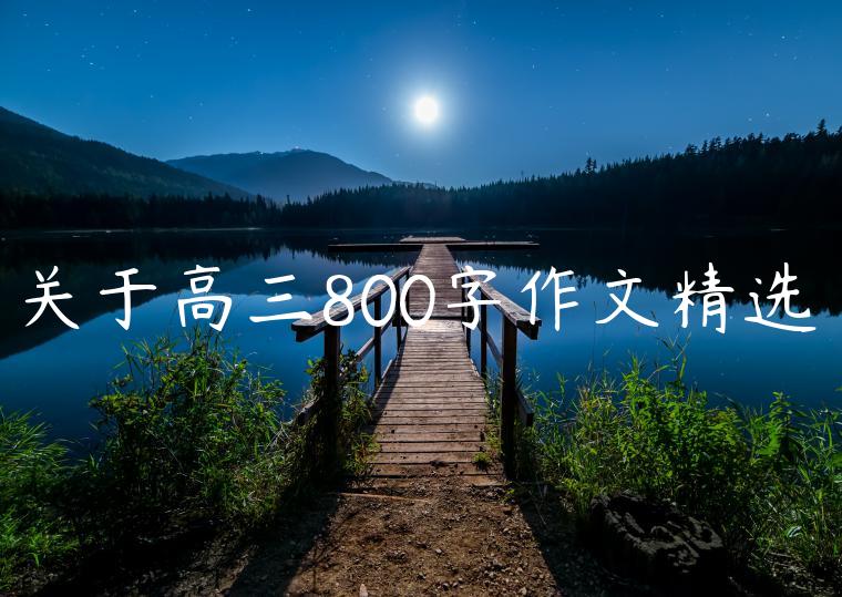 关于高三800字作文精选