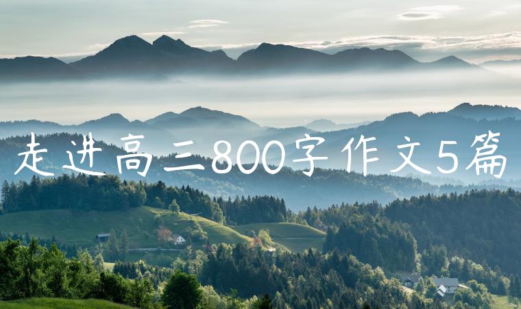 走进高三800字作文5篇