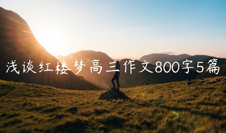 浅谈红楼梦高三作文800字5篇