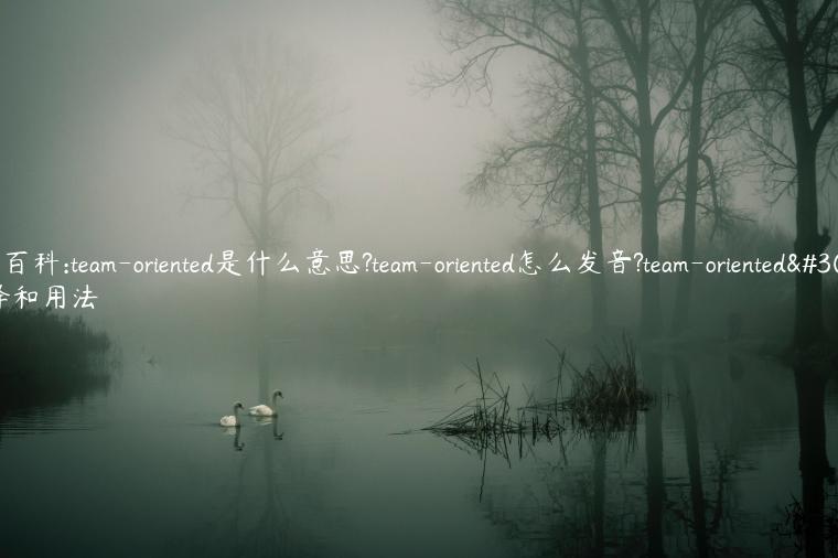 单词百科:team-oriented是什么意思?team-oriented怎么发音?team-oriented的解释和用法