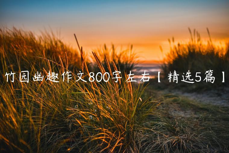 竹园幽趣作文800字左右【精选5篇】