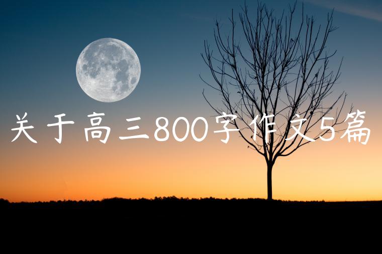 关于高三800字作文5篇