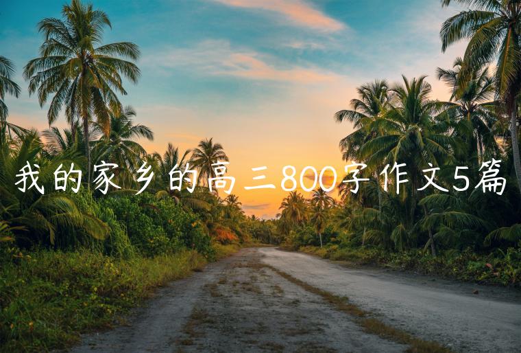 我的家乡的高三800字作文5篇