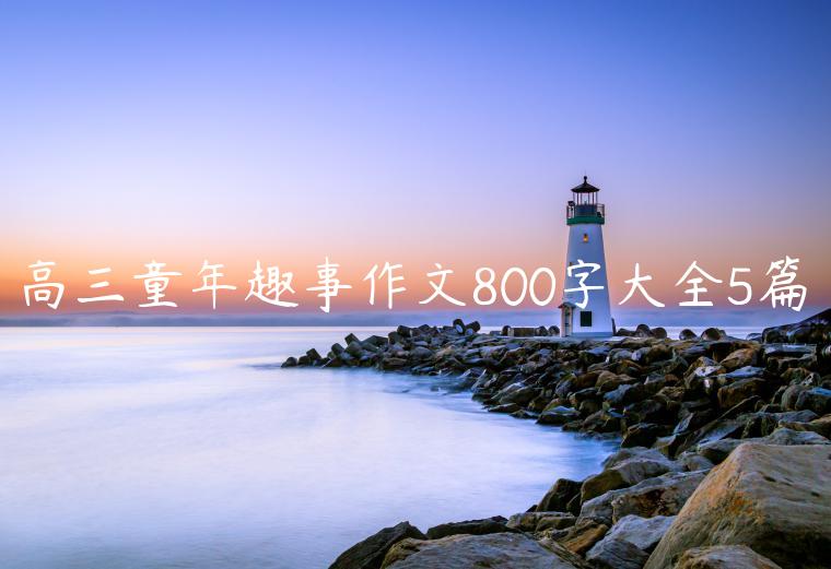 高三童年趣事作文800字大全5篇