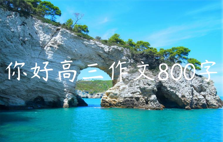 你好高三作文800字