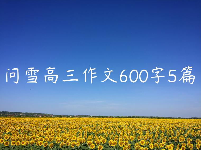 问雪高三作文600字5篇