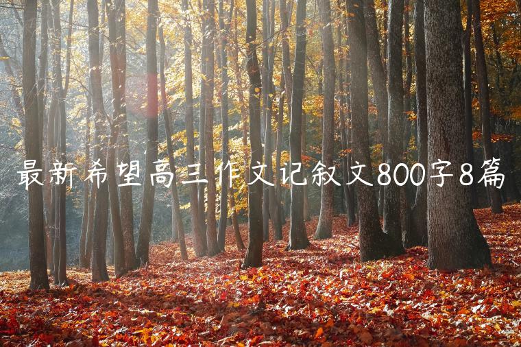 最新希望高三作文记叙文800字8篇