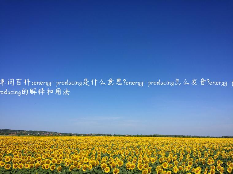 单词百科:energy-producing是什么意思?energy-producing怎么发音?energy-producing的解释和用法