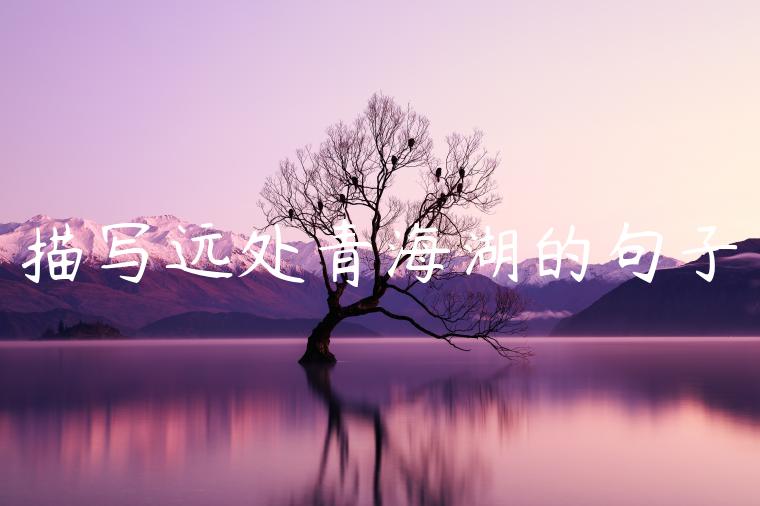 描写远处青海湖的句子