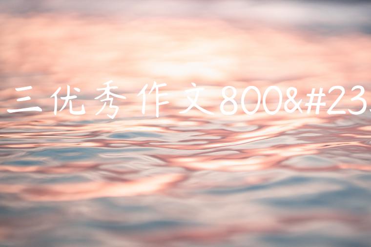 高三优秀作文800字