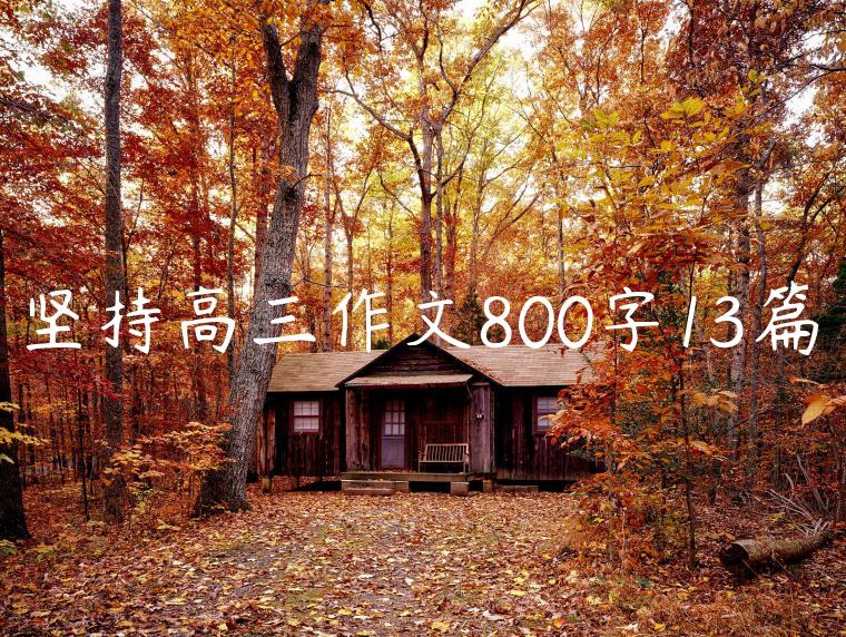 坚持高三作文800字13篇