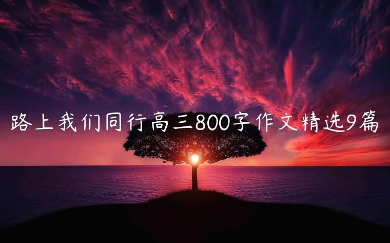 路上我们同行高三800字作文精选9篇