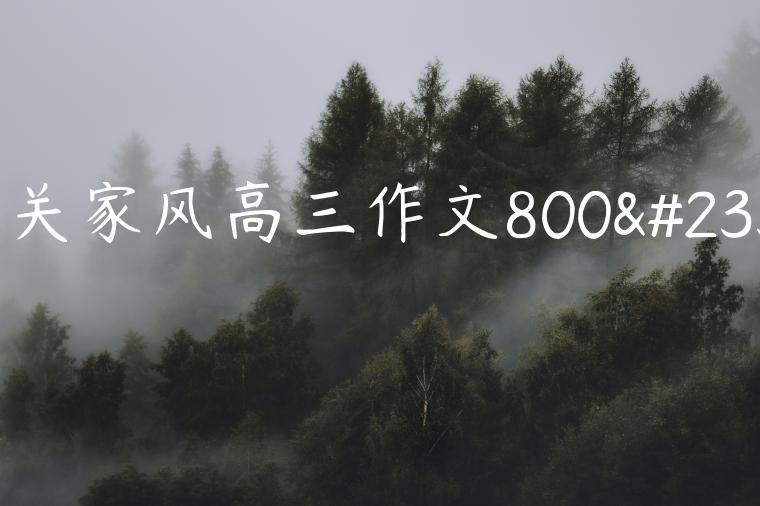 有关家风高三作文800字