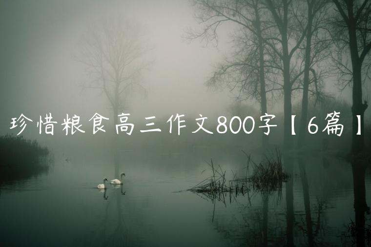 珍惜粮食高三作文800字【6篇】