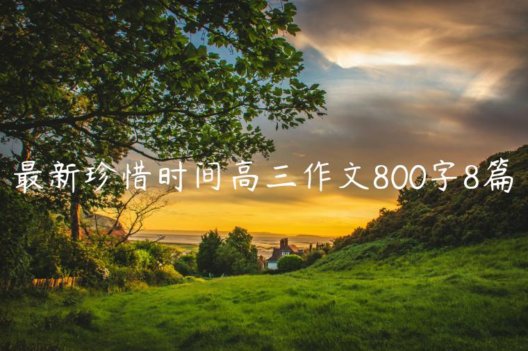 最新珍惜时间高三作文800字8篇