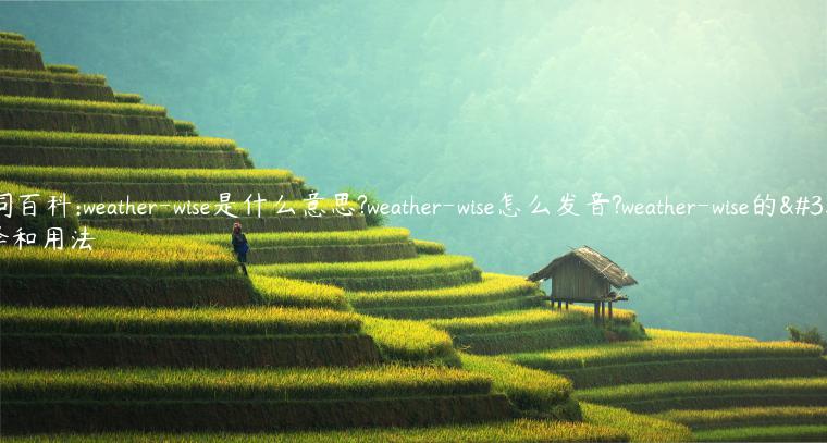 单词百科:weather-wise是什么意思?weather-wise怎么发音?weather-wise的解释和用法