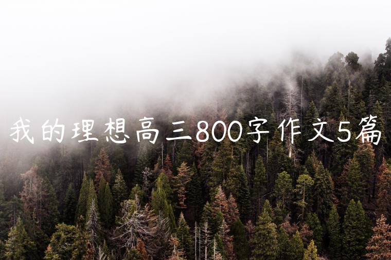 我的理想高三800字作文5篇