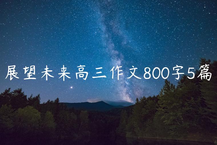 展望未来高三作文800字5篇