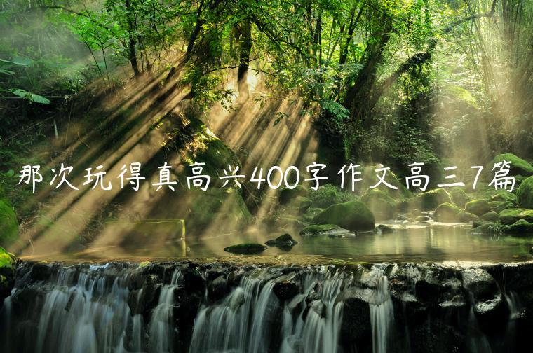 那次玩得真高兴400字作文高三7篇