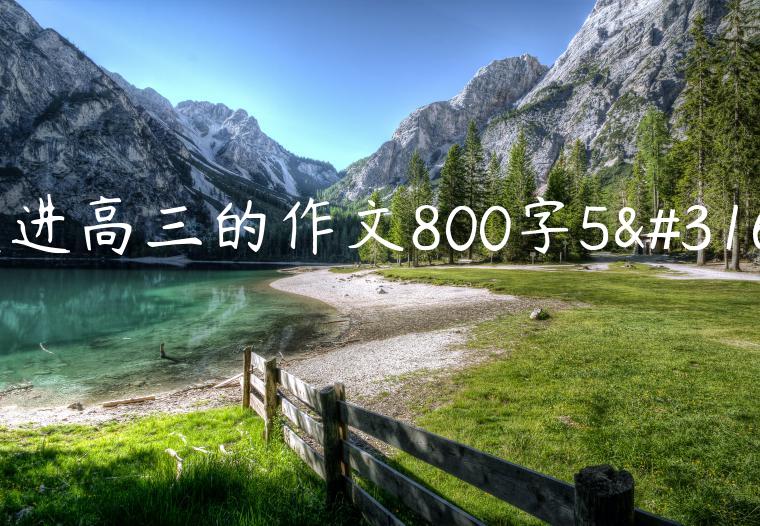 走进高三的作文800字5篇