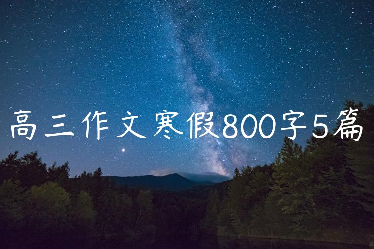 高三作文寒假800字5篇