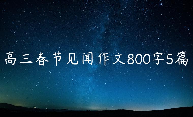 高三春节见闻作文800字5篇