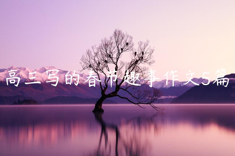 高三写的春节趣事作文5篇