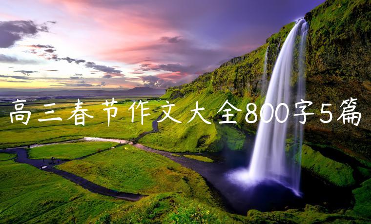 高三春节作文大全800字5篇