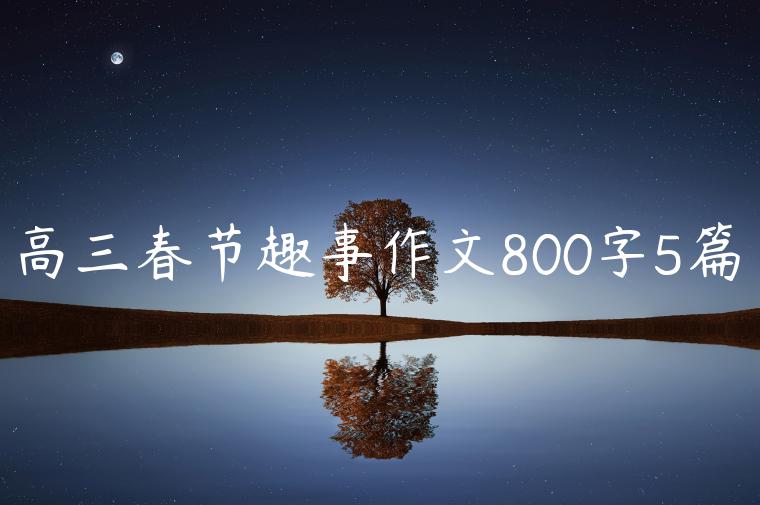 高三春节趣事作文800字5篇