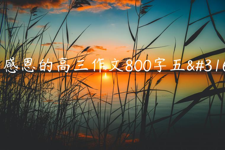 写感恩的高三作文800字五篇